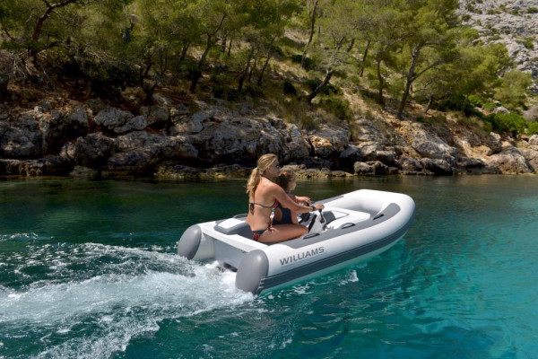Williams MINIJET 280