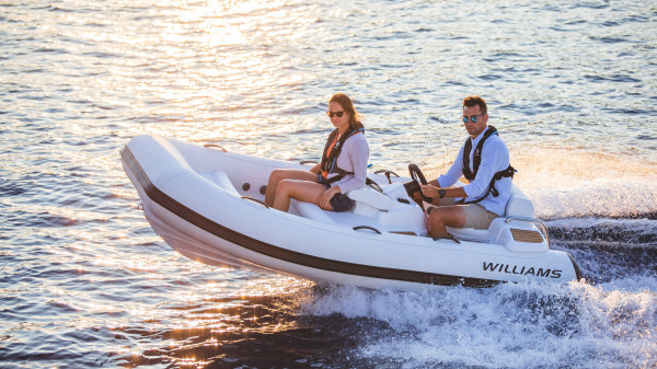 Williams TURBOJET 325